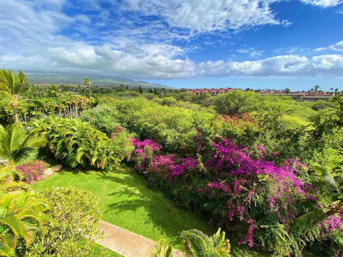 Penthouse 1 Bd King Suite With Ocean Views! Wailea  Exteriér fotografie